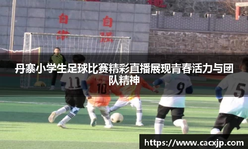 丹寨小学生足球比赛精彩直播展现青春活力与团队精神
