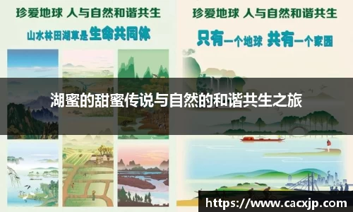 湖蜜的甜蜜传说与自然的和谐共生之旅